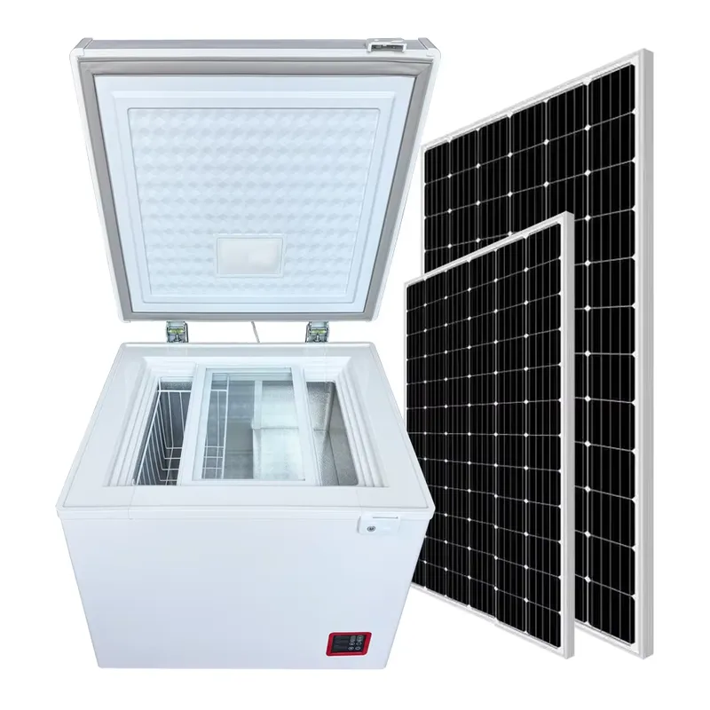 Commercial Chest Freezer - Wysokiej jakości pozioma zamrażarka solarna typu